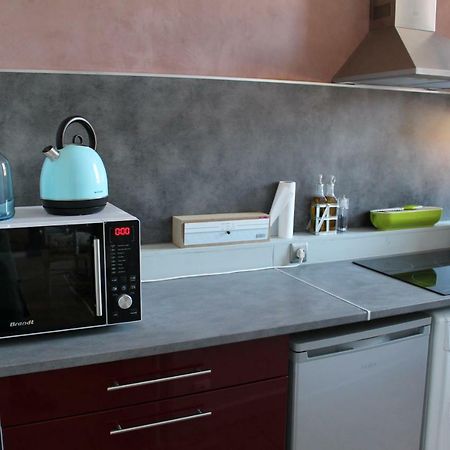 Le Cerf Volant Apartment Albi Bagian luar foto