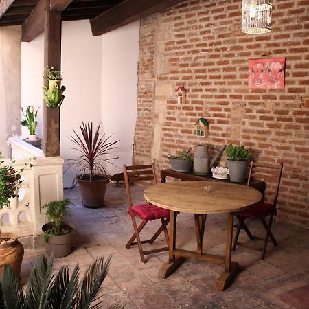 Le Cerf Volant Apartment Albi Bagian luar foto