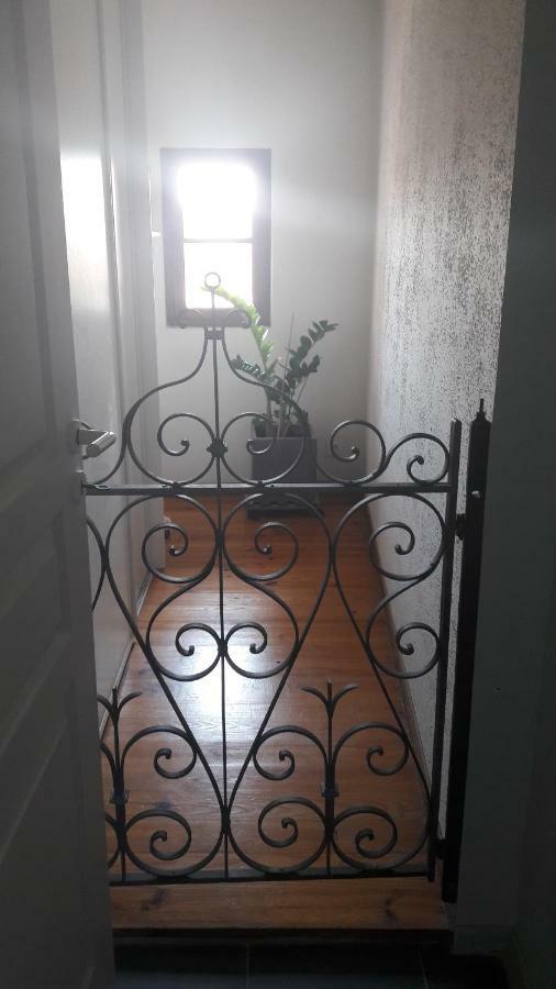Le Cerf Volant Apartment Albi Bagian luar foto
