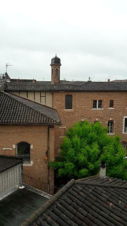 Le Cerf Volant Apartment Albi Bagian luar foto
