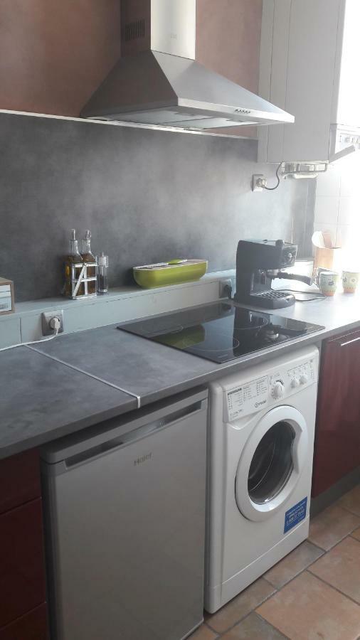 Le Cerf Volant Apartment Albi Bagian luar foto