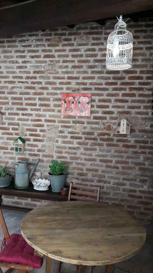 Le Cerf Volant Apartment Albi Bagian luar foto