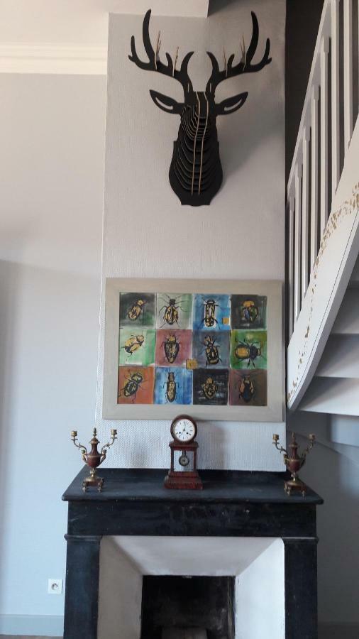Le Cerf Volant Apartment Albi Bagian luar foto