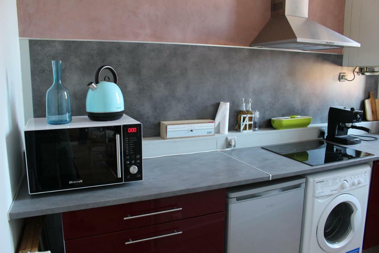 Le Cerf Volant Apartment Albi Bagian luar foto