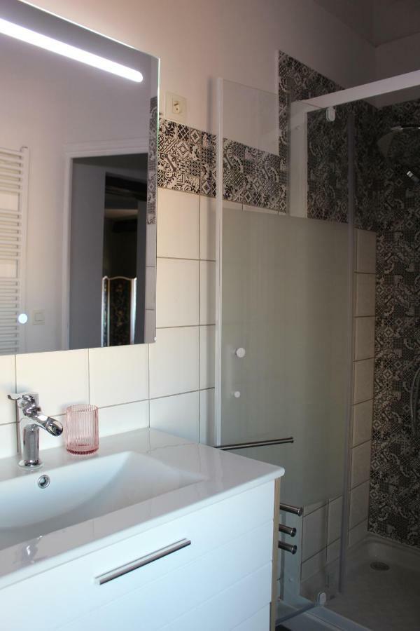 Le Cerf Volant Apartment Albi Bagian luar foto