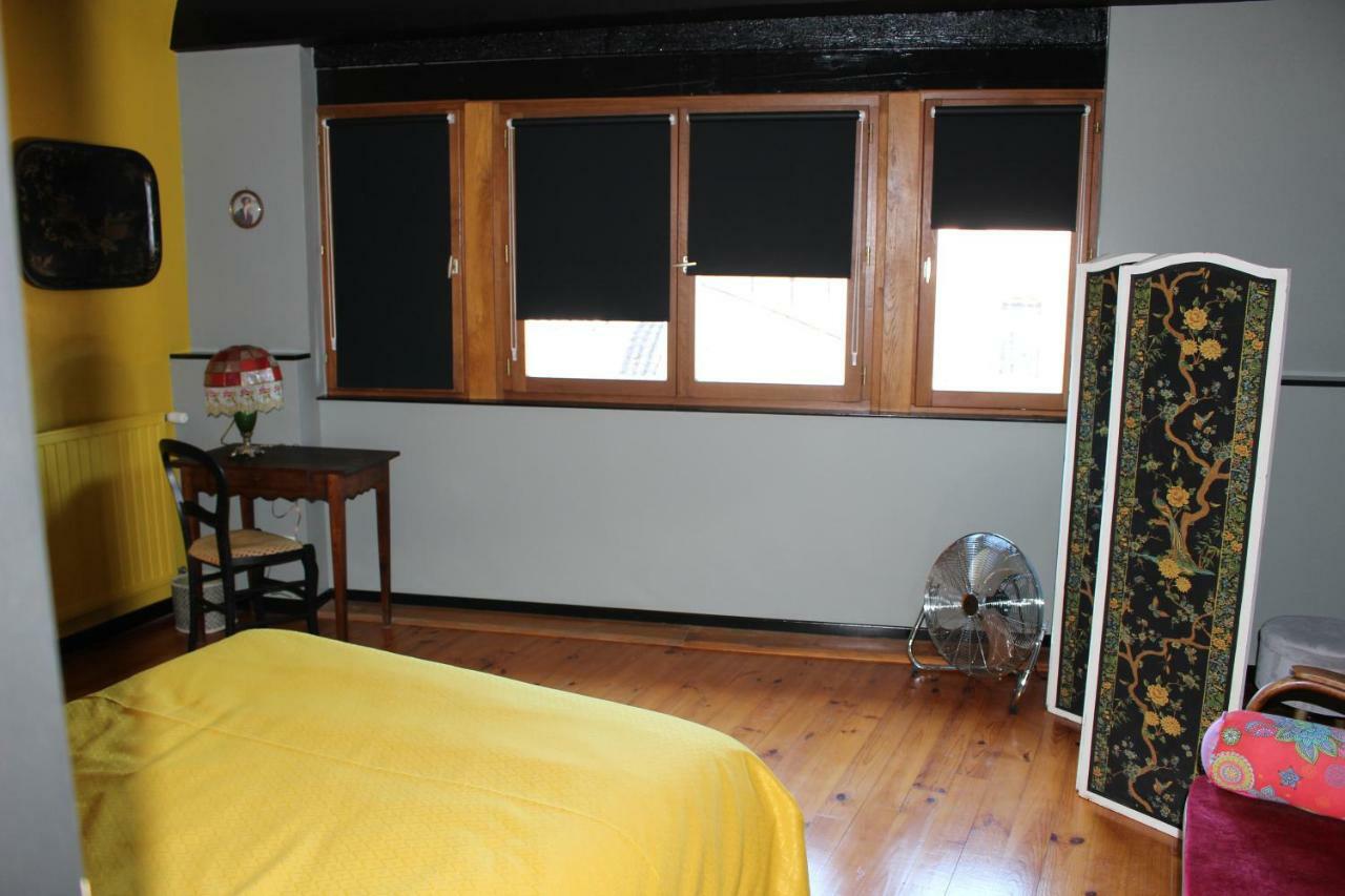 Le Cerf Volant Apartment Albi Bagian luar foto