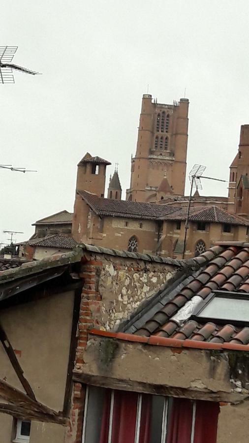 Le Cerf Volant Apartment Albi Bagian luar foto